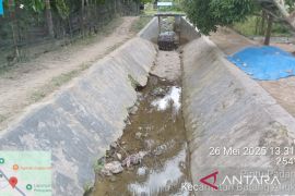 Petani sawah di Tapanuli Selatan tunda tanam akibat krisis Air Irigasi
