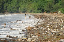 Pantai Tulungagung dipenuhi sampah pascabanjir bandang