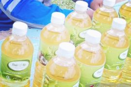 DPRK harap melibatkan BRIDA Biak kelola inovasi hasil alam lokal