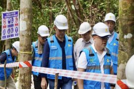 Pimpinan PLN tinjau langsung pembangunan infrastruktur kelistrikan di Kalteng