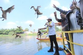 Tradisi Peh Cun di Tangerang, dari balap perahu hingga tangkap bebek