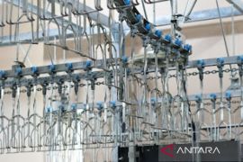 DPRD Banjarmasin ikut soroti RPU modern tidak beroperasi