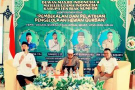 MUI Biak sebut hewan kurban harus sehat dan tidak cacat