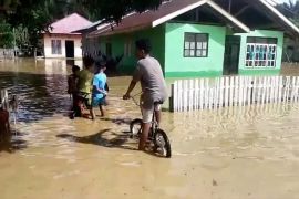 Curah hujan tinggi, 128 Rumah di Kepulauan Sula Malut tergenang banjir