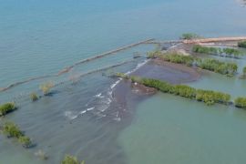 Banjir rob Pemalang, Pemprov Jateng prioritaskan penanganan ekonomi