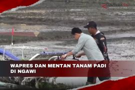 Wapres dan Mentan tanam padi di Ngawi
