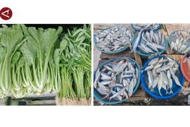Komoditas sawi hijau dan ikan selar picu inflasi 0,77 di Babel