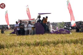 Panen di lahan rusak, perkokoh Jateng sebagai lumbung beras nasional