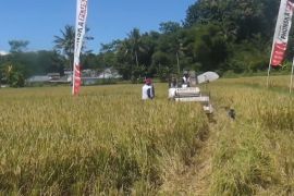 Pemerintah bangun 25 ribu gudang improvisasi tampung hasil panen