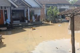 Sejumlah sarana umum di Jembrana rusak akibat banjir rob