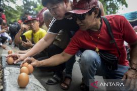 Tradisi mendirikan telur saat perayaan Peh Cun