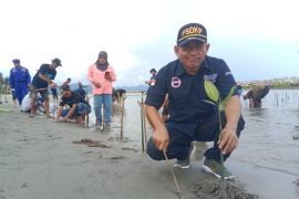 Pegiat lingkungan Polewali Mandar Sulbar tanam 500 bibit mangrove