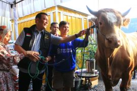 Komjen Pol Purn Bambang Sunarwibowo serahkan seekor sapi kurban seberat 800 Kg untuk Laskar Sasak