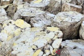 Ekspor karet Sumut capai  20.799 ton pada April 2025