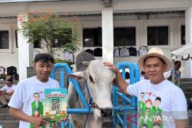 Presiden Prabowo membeli tiga sapi milik warga Kota Bandung untuk kurban