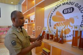 Musyawarah desa khusus koperasi merah putih di Padang Page 3 Small