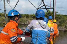 PLN Babel jaga keandalan pasokan listrik melalui kegiatan Care for Asset jelang Idul Adha