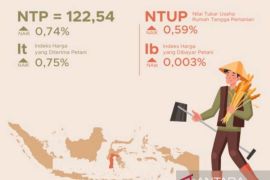 Nilai tukar petani Sulsel pada Mei 2025 naik 0,74 persen