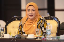 Anggota DPR: Perlu evaluasi implementasi UU TPKS