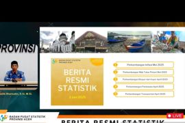 Cabai merah sumbang deflasi Aceh Mei sebesar 0,59 persen
