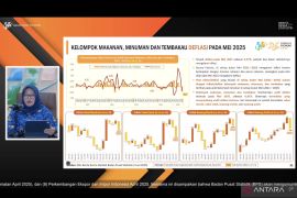 Normalisasi harga pangan picu deflasi pada Mei 2025
