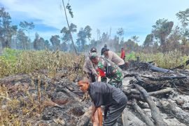 Polri dan TNI lakukan pemadaman kebakaran lahan gambut di Aceh Barat