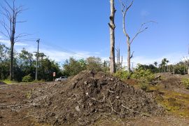 Kanopi Hijau: Tindak tegas PLTU Bengkulu buang limbah sembarangan