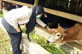 Puasa Arafah dan Tarwiyah: Mana yang utama dan pahalanya lebih besar?