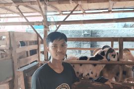 Tebar hewan kurban hidupkan sektor ekonomi peternak
