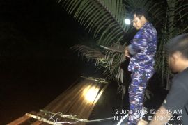 Polisi temukan 500 keping kayu ilegal di perairan Desa Dedap Meranti