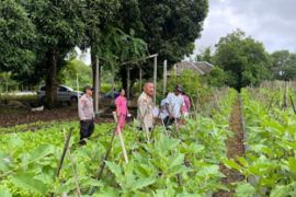 Polres Tanimbar gelar lomba pekarangan bergizi wujudkan mandiri pangan