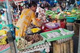 Kemenkeu: penyaluran KUR di Malut mencapai Rp190,2 miliar