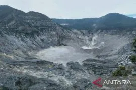 Badan Geologi: Gunung Tangkuban Parahu 130 kali gempa pada 1 Juli 2025