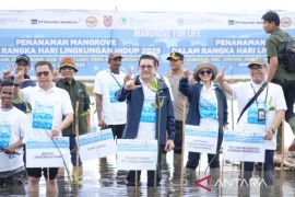 Freeport dan ULM percepat program nasional KLH rehabilitasi mangrove di Kalsel