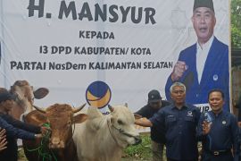 Ratusan hewan kurban dibagikan Haji Mansyur ke seluruh Kalsel