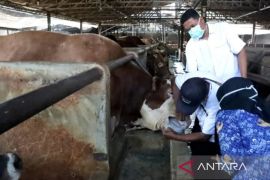 Perbedaan Puasa Arafah dan Tarwiyah: Waktu, bacaan niat, dan pahalanya