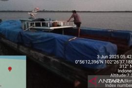 Tim gabungan Polres Meranti amankan 25 ton kayu olahan hasil ilegal logging