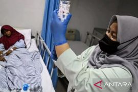 Dinkes Karawang : Tujuh orang meninggal akibat DBD