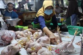 Ketersediaan bahan pokok  di Kaltim aman jelang Idul Adha