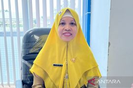 Investasi di Kendari pada triwulan I 2025 capai Rp249 miliar