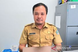 DPM PTSP Kendari terbitkan 2.181 NIB hingga Mei 2025