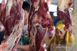 FOTO - Kenaikan harga daging jelang tradisi meugang Idul Adha