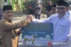 Pemprov Kalbar salurkan 49 sapi kurban ke seluruh kabupaten dan kota