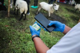 Wali Kota Bandung meminta warga cek barcode sebelum beli hewan kurban