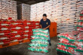 Bulog pastikan stok beras di Balikpapan aman hingga akhir tahun