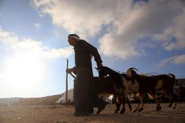 Warga Palestina serbu hewan kurban jelang Idul Adha