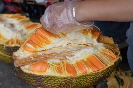 Guangxi di China godok acara pengadaan buah-buahan asal ASEAN