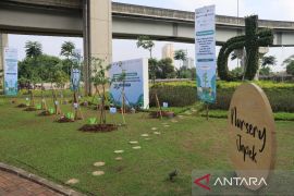 Jasamarga Transjawa tanam pohon serentak peringati hari lingkungan hidup