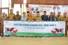 Bupati Bangka Tengah terima 25 hewan kurban PT Timah