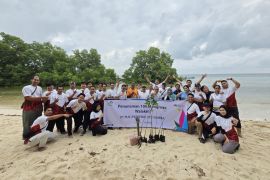 PLN merawat pantai melalui aksi menanam bibit mangrove di Sumba Timur